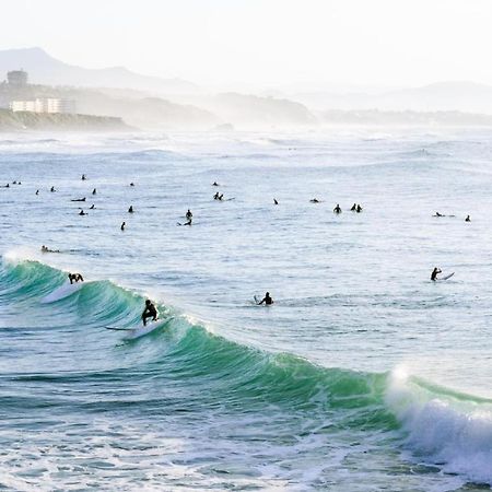 Magnifique T3 - Grande Plage Biarritz Dış mekan fotoğraf