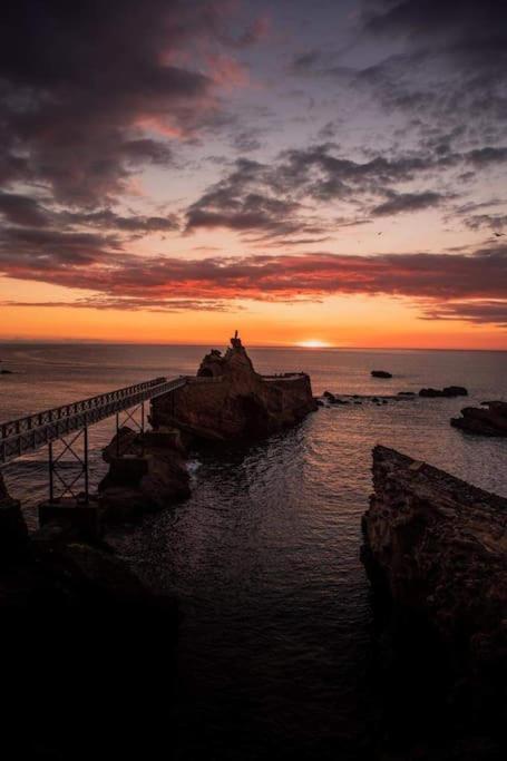 Magnifique T3 - Grande Plage Biarritz Dış mekan fotoğraf