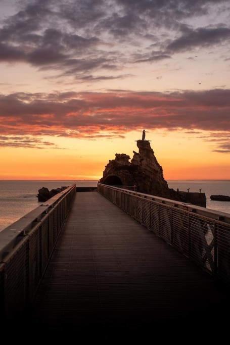 Magnifique T3 - Grande Plage Biarritz Dış mekan fotoğraf