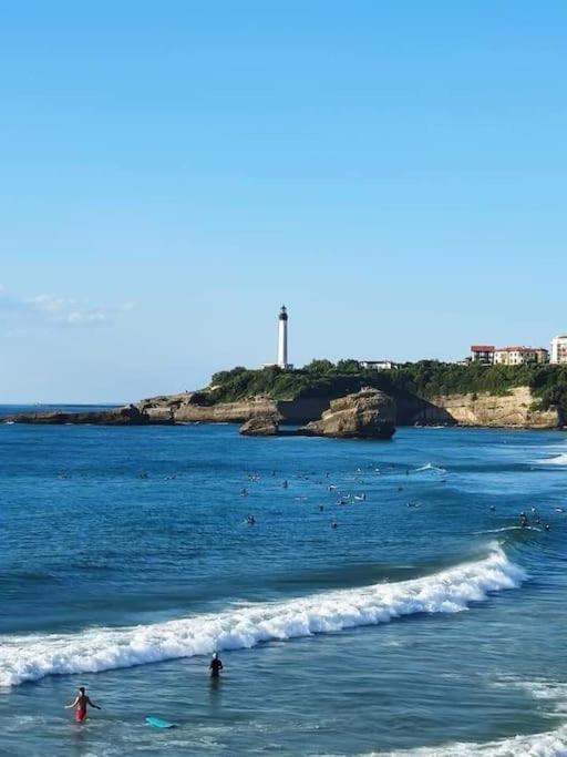 Magnifique T3 - Grande Plage Biarritz Dış mekan fotoğraf