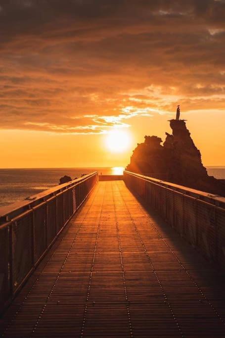 Magnifique T3 - Grande Plage Biarritz Dış mekan fotoğraf