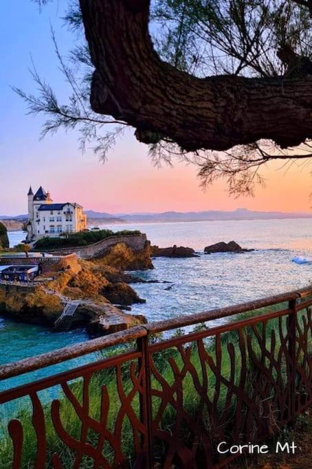 Magnifique T3 - Grande Plage Biarritz Dış mekan fotoğraf