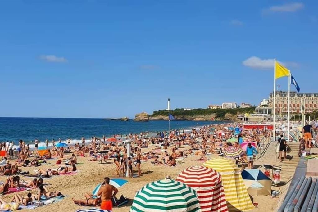 Magnifique T3 - Grande Plage Biarritz Dış mekan fotoğraf