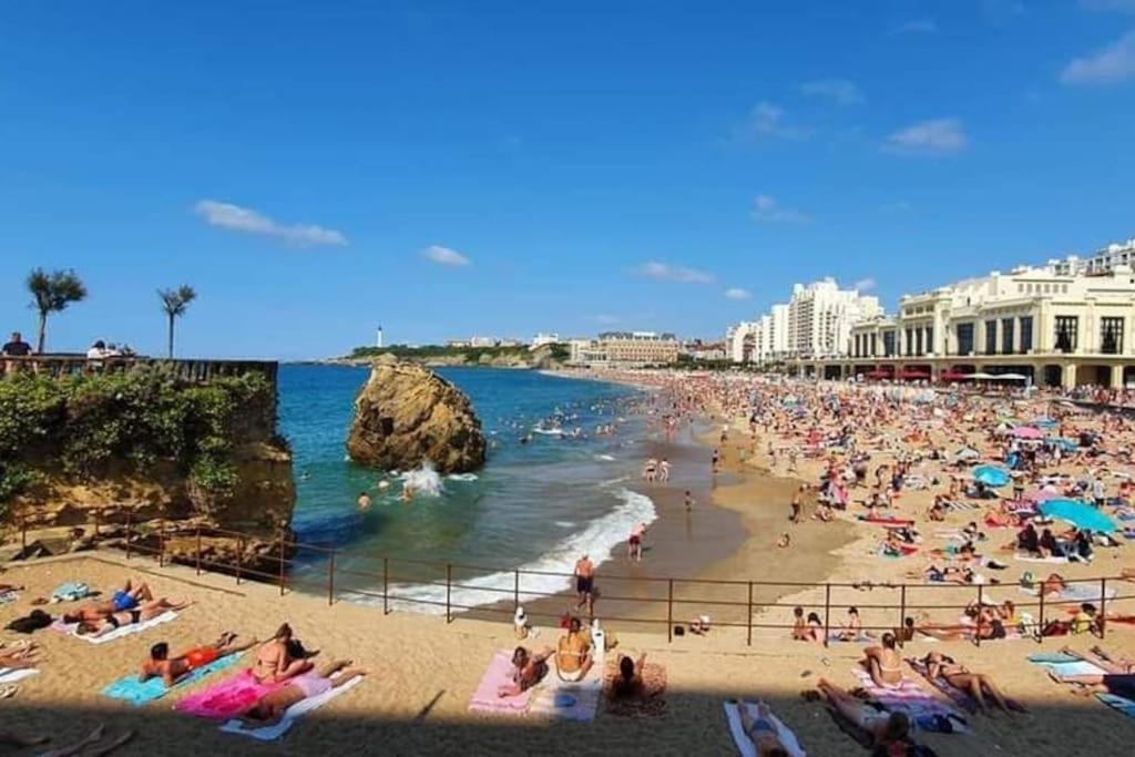 Magnifique T3 - Grande Plage Biarritz Dış mekan fotoğraf
