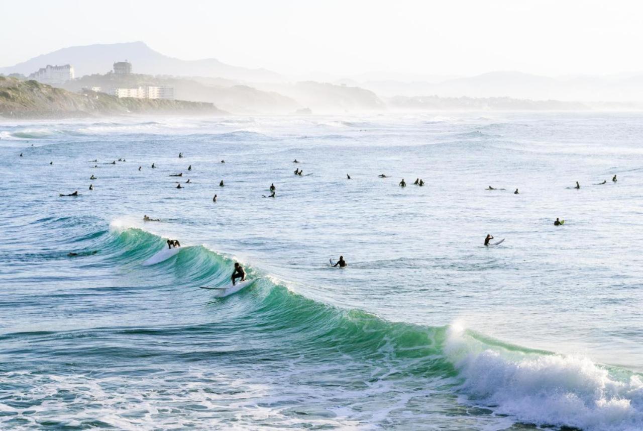 Magnifique T3 - Grande Plage Biarritz Dış mekan fotoğraf